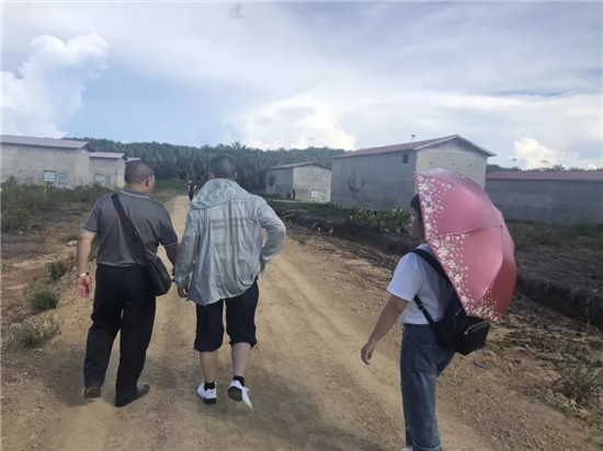 马来西亚燕屋投资的好处，你是否有了解过？